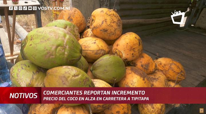 Cocos experimentan alza por Semana Santa, según comerciantes