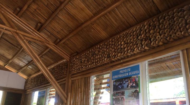 Apuestan por construir viviendas de bambú