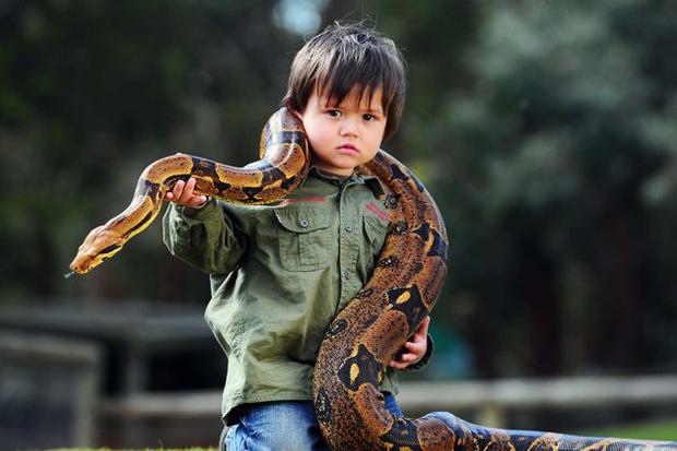 El guardabosques más pequeño del mundo