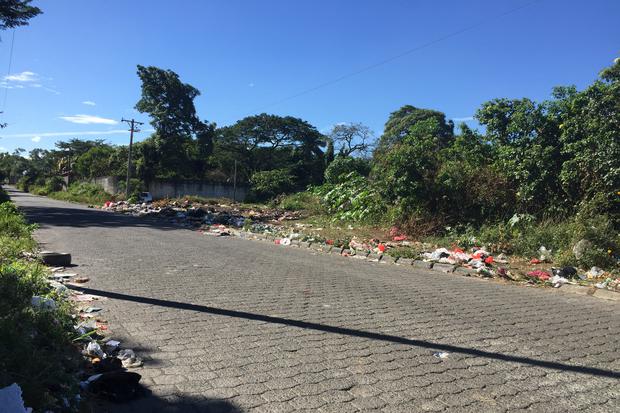 Directora Ejecutiva de FUNDENIC,Rosario Sáenz, expresa que el problema de la basura afecta al turismo del país.