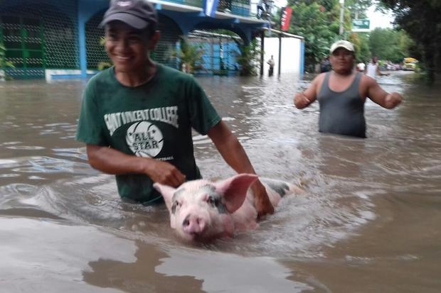 Malacatoya inundada: más de 50 familias afectadas por desborde de río