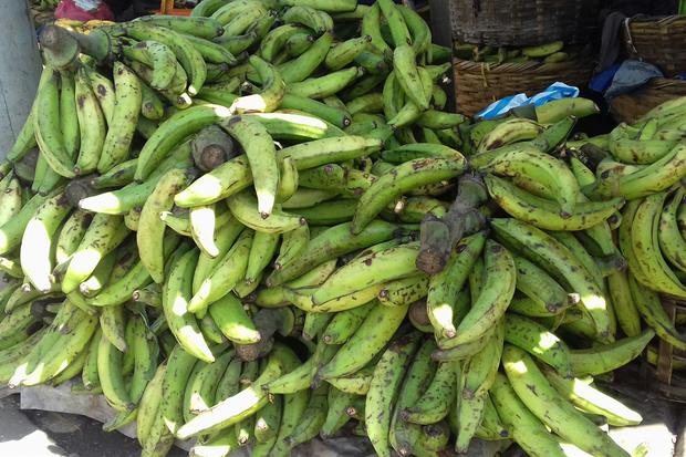 Afectaciones en la producción de plátano llega a los mercados, su precio esta "regalado"