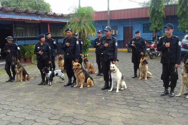 También se ha destinado a la Unidad Canina ante cualquier eventualidad que pueda presentarse durante la ejecución del Plan María 2017.