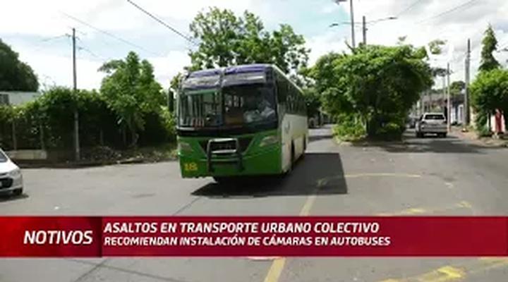 Asaltos en autobuses a la orden del día