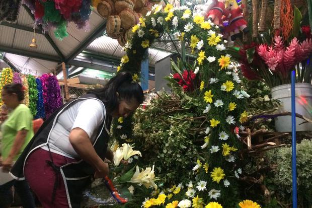 Las flores de madroño, mil flores, la pascua entre otras son de las más buscadas para adornar a la virgen este 7 de diciembre.