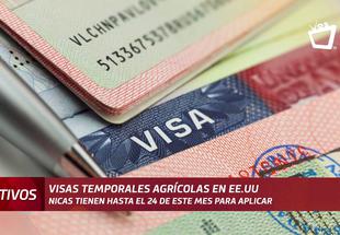 Nicaragüenses ya pueden aplicar a las visas de trabajo temporales que ofrece EE.UU.