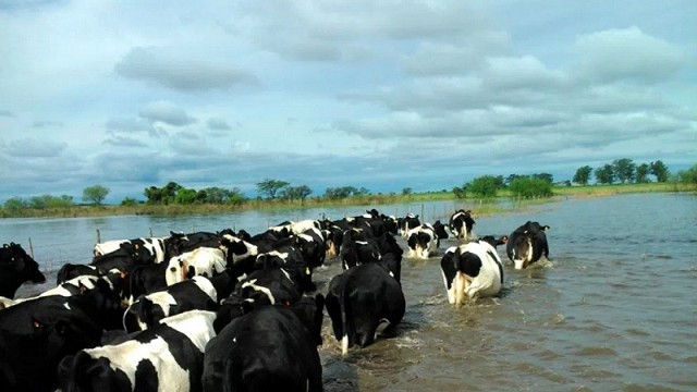 daños por las lluvias