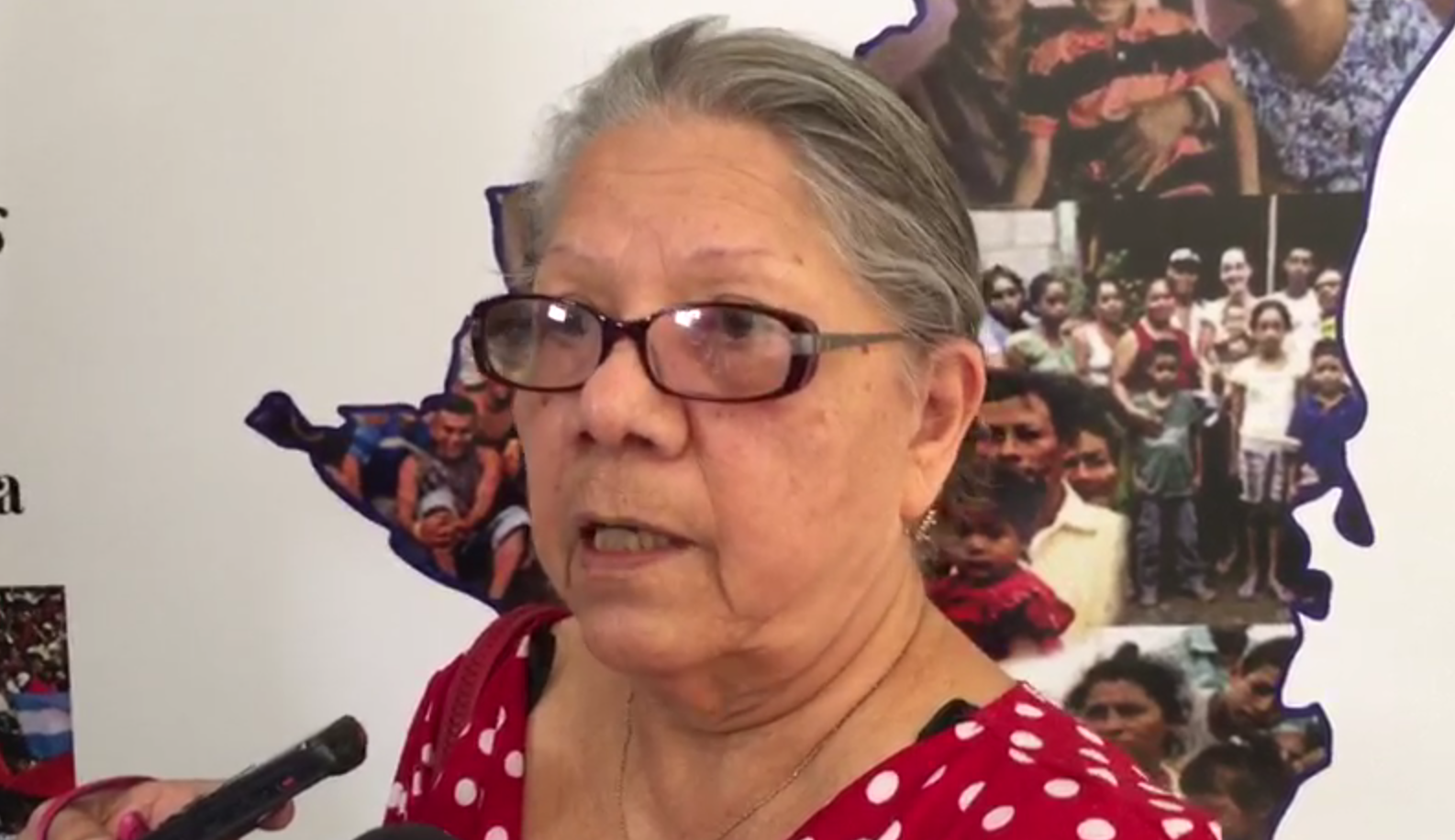 Doris Tijerino, exjefa de la Policía Nacional. Foto: Gerall Chávez