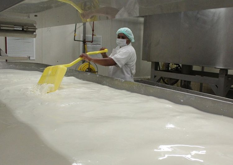 11 milllones de han dejado de exportar en leche y derivados.