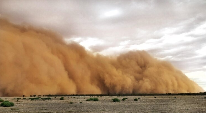 Tormentas de polvo en Australia / Cortesía / AFP