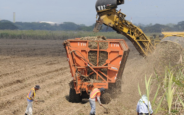 FOTO: VOS TV | CORTESÍA