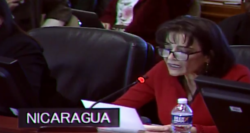 Representante del Gobierno de Nicaragua en la OEA / Cortesía