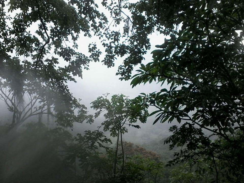 Nicaragua registrará bajas temperaturas / Cortesía