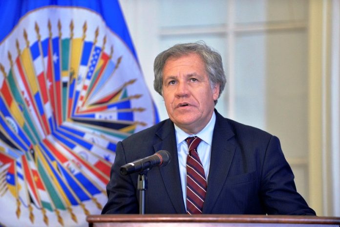 Luis Almagro, secretario general de la OEA / cortesía