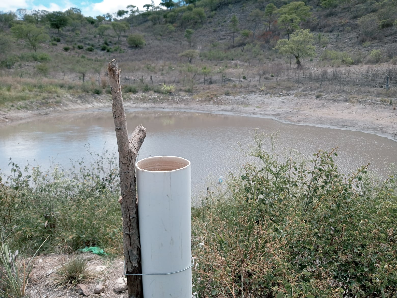 Foto: Cortesía
