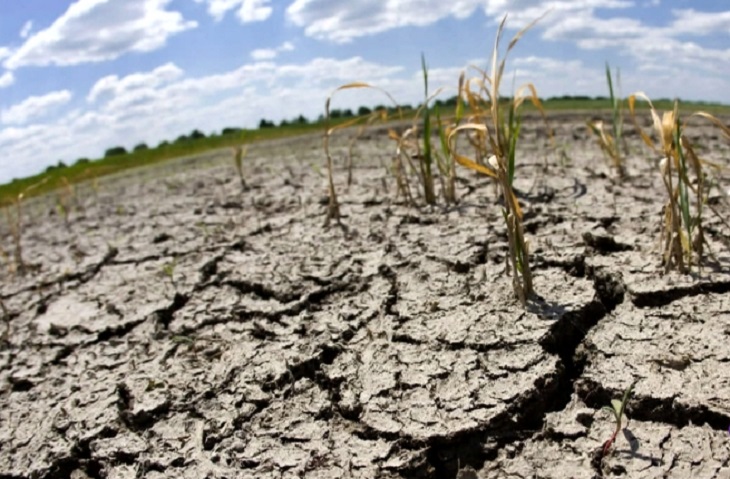 Amnistía Internacional publica encuesta sobre cambio climático / Cortesía