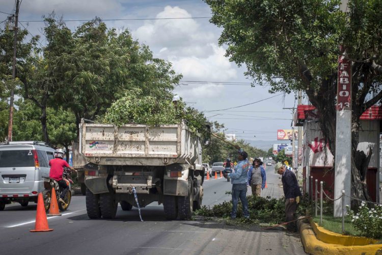 Foto Cortesía.