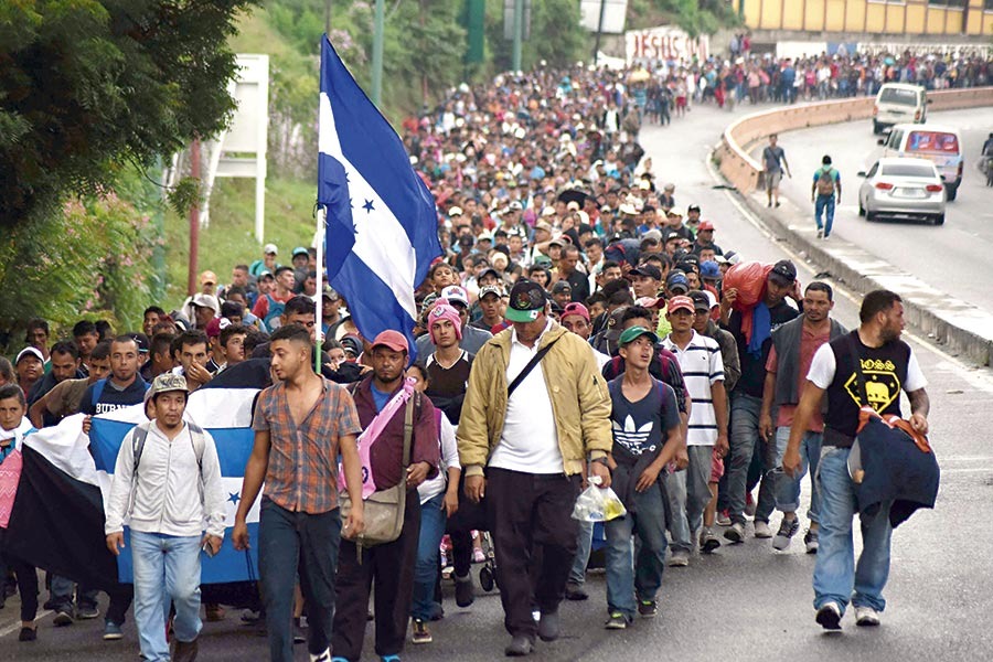 Foto: cortesía