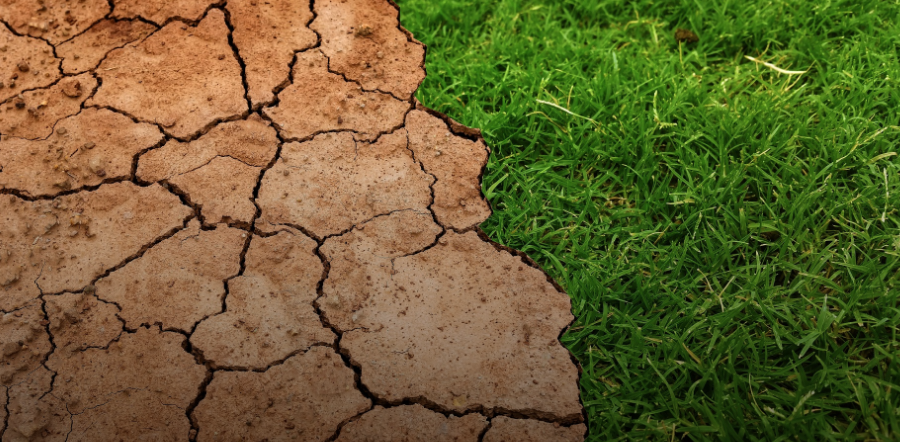 La pobreza rural podría aumentar debido al cambio climático / Archivo