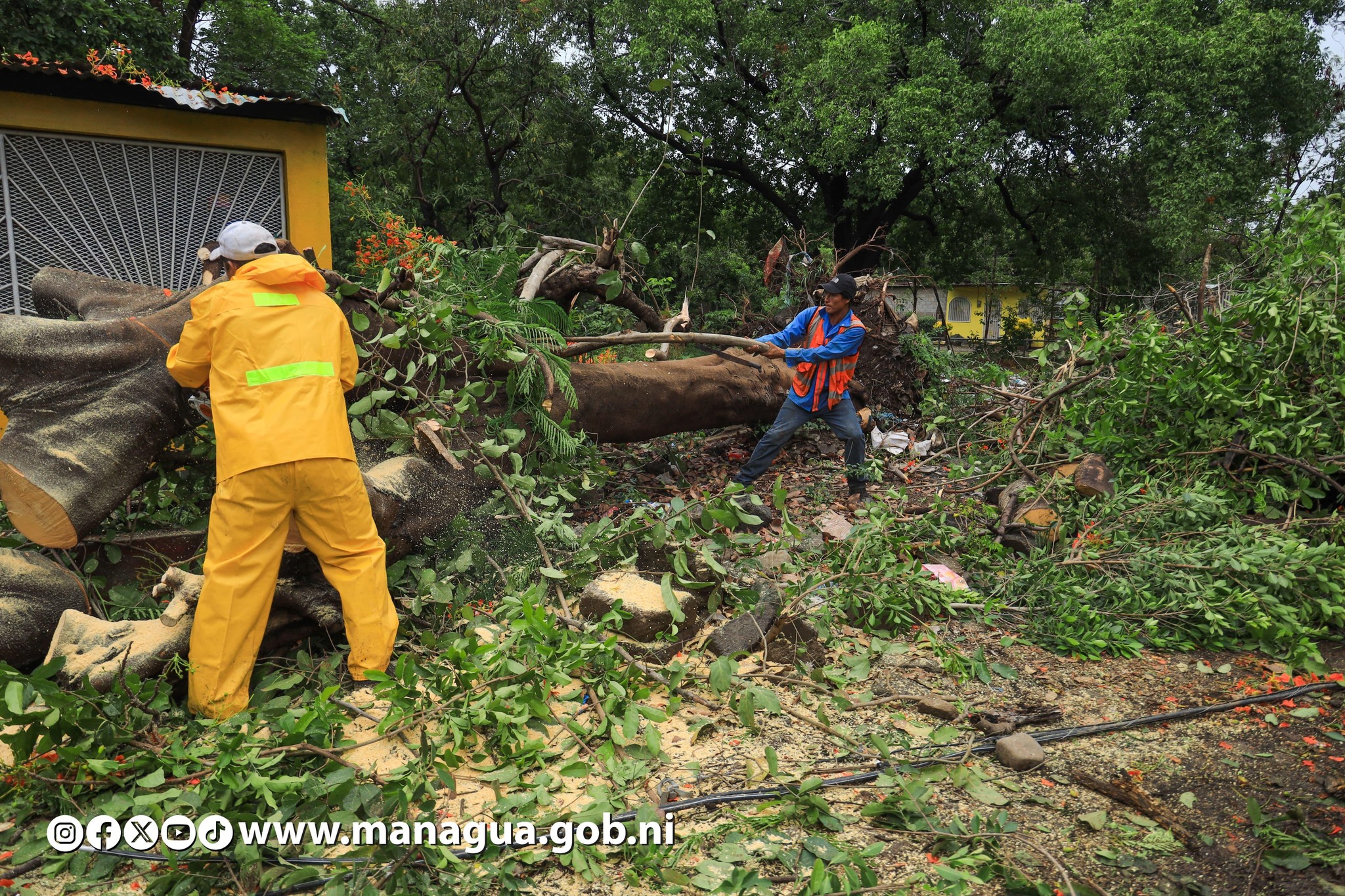 Foto: Alcaldía de Managua