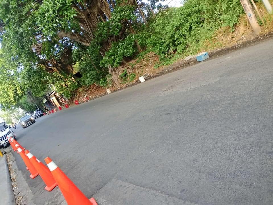 Foto: Cortesía