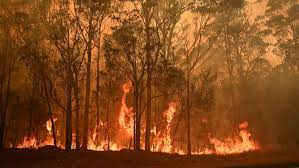 Incendios en Australia.