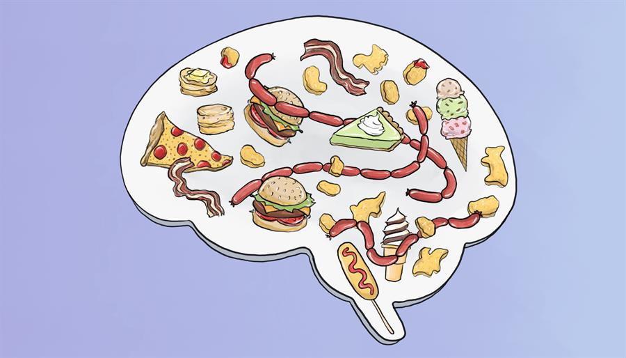 Una dieta rica en alimentos ricos en grasa reduce el placer de comer./ EFE