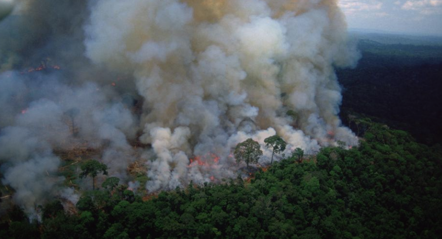 La Amazonia fue afectada este 2019 por varios incendios / Archivo