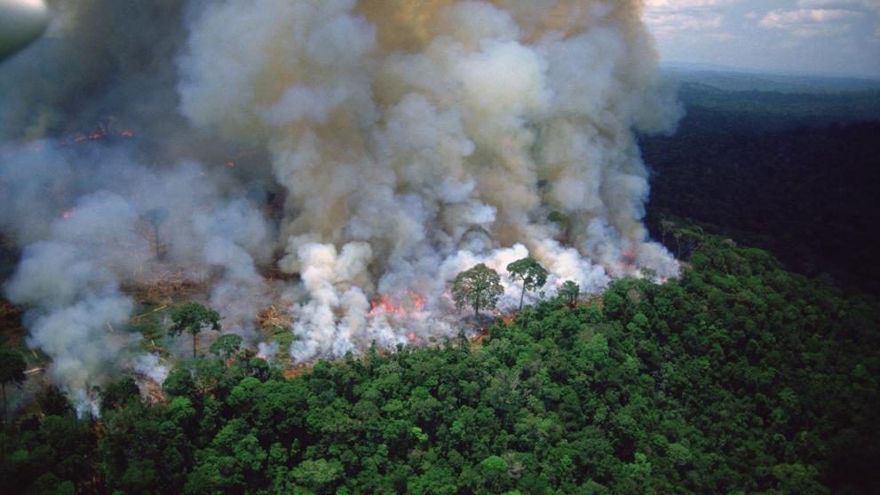 FOTO: VOS TV | CORTESÍA