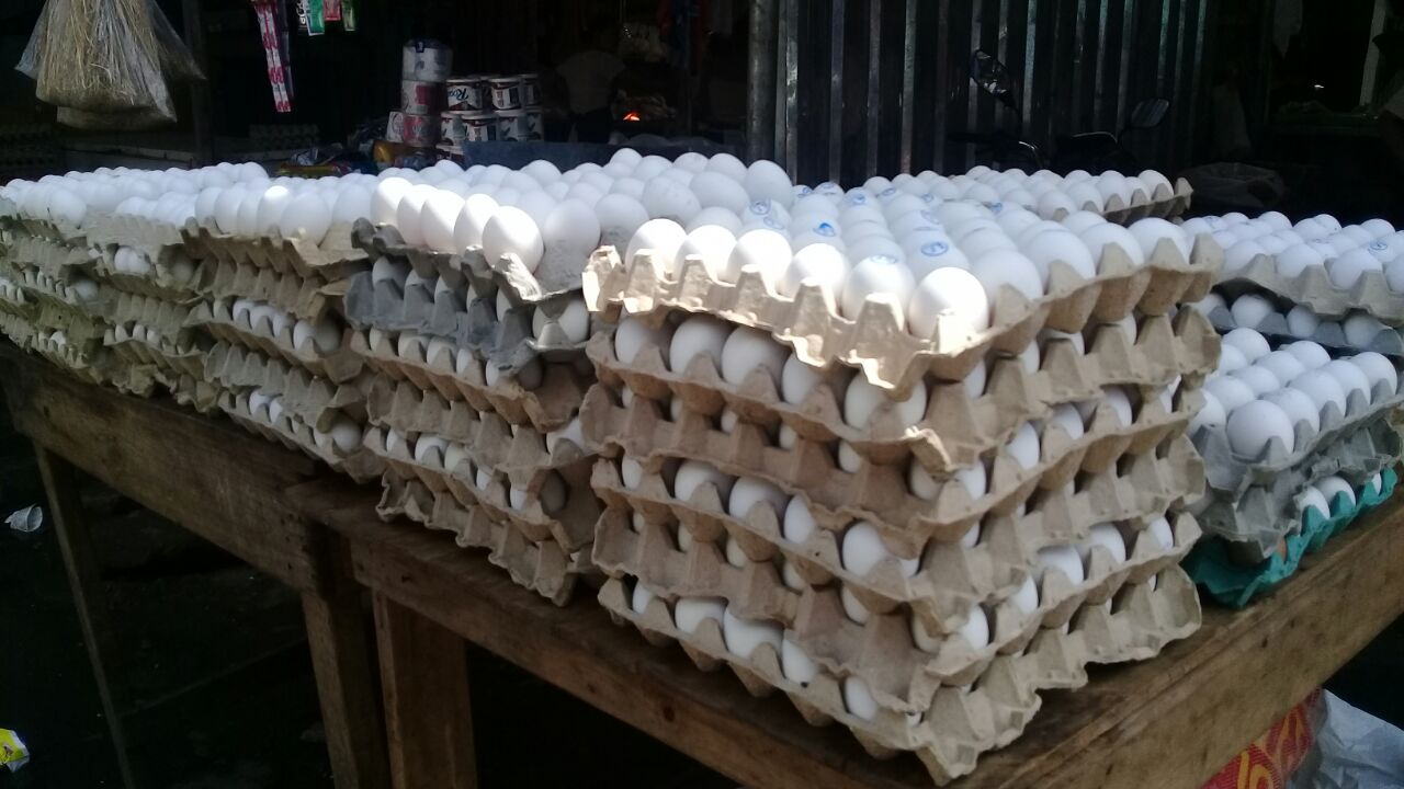 El informe del INDEC acerca de los precios de la canasta básica destaca el bajo costo de la cajilla de huevo. Foto: Héctor Rosales