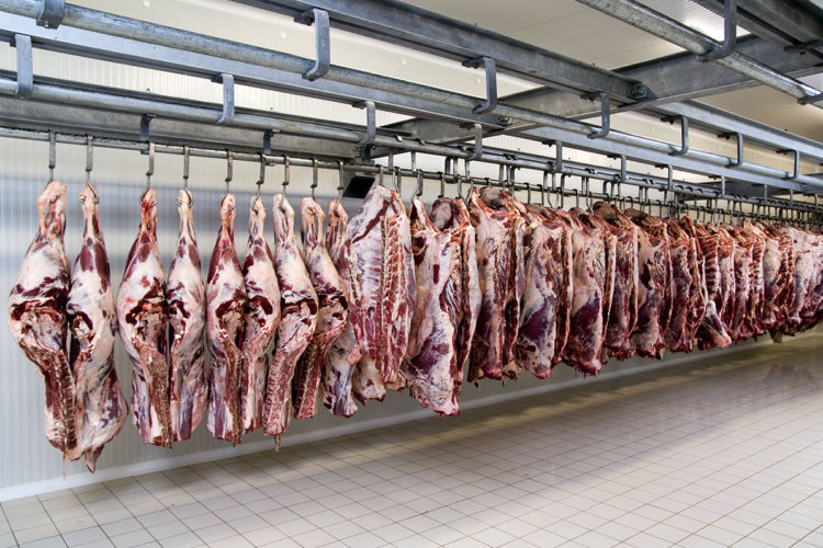 Las exportaciones de carne bovina, es el principal rubro de exportación