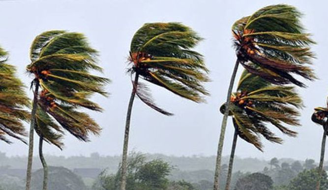 Nicaragua sufre fuertes vientos / Cortesía
