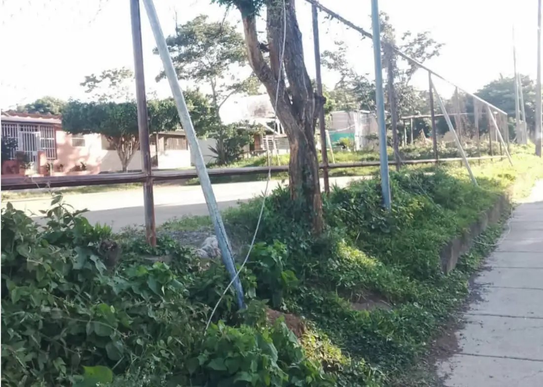 Cortesía