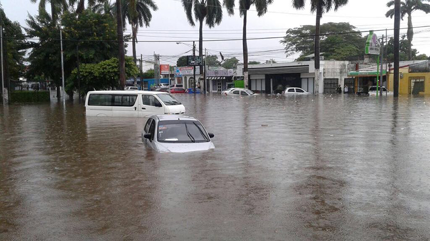 Imagen referencial / Cortesía