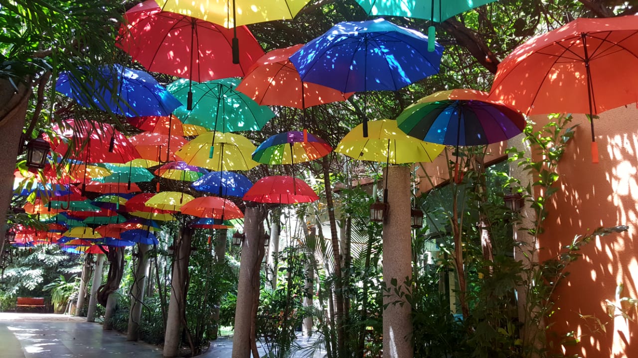 Umbrella Sky, foto Jimmy Romero.