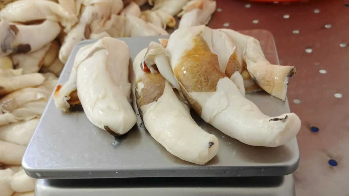 Cortesía