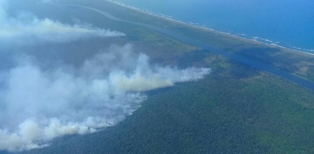 Incendio en Indio Maíz.