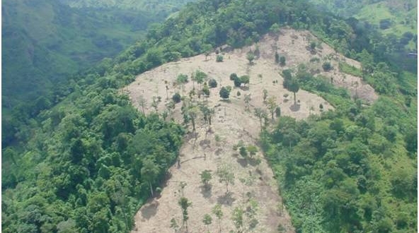 Deforestación en Nicaragua / Imagen referencial / Cortesía