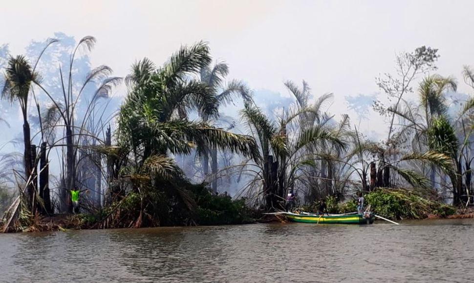 Imagen de la destrucción que ha dejado el incendio en la reserva Indio Maíz. Foto: El Nuevo Diario