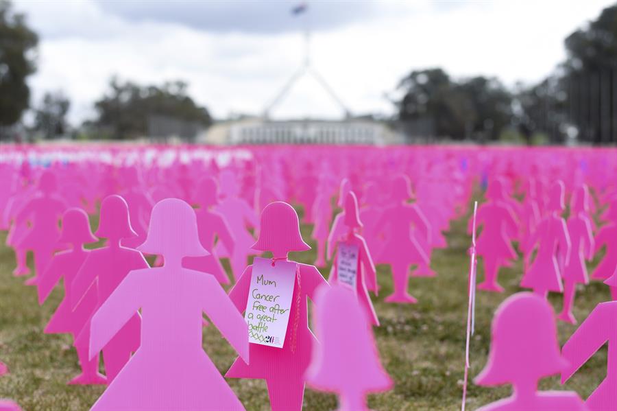 Vista general de algunas de las 6.000 siluetas de mujeres rosas que sirven de memorial sobre el cáncer de mama en las afueras de la Casa del Parlamento en Canberra (Australia) con motivo del Día Mundial de la lucha contra el cáncer de mama. /EFE