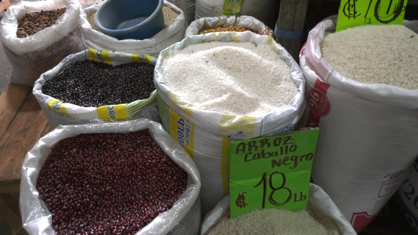 Fotografía: Alan Mendieta