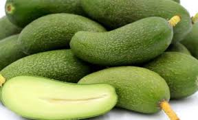 Aguacate sin semilla