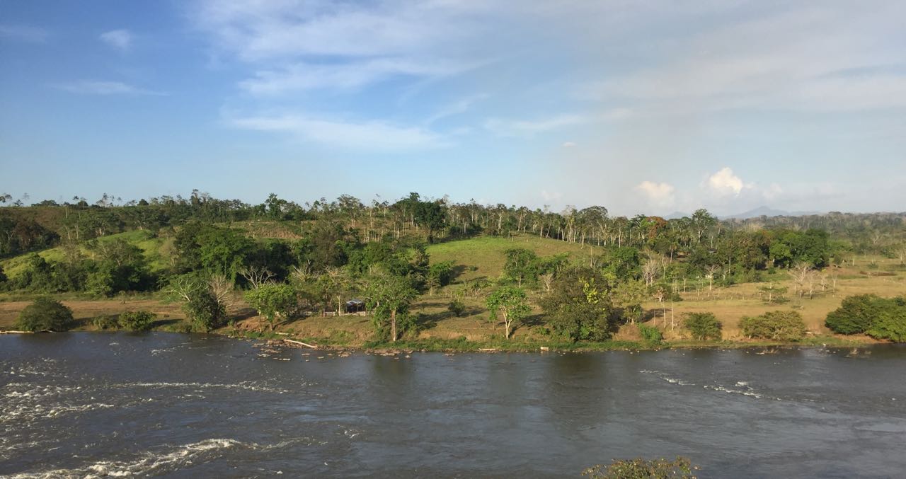 Zona de amortiguamiento de la Reserva Biológica Indio Maíz. Foto: Gerall Chávez