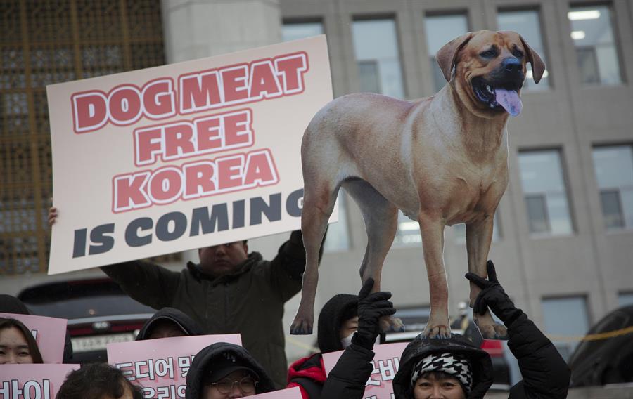 Miembros de grupos animalistas sostienen pancartas en Seúl para celebrar la aprobación en la Asamblea Nacional de una ley que prohíbe el comercio de carne de perro. /EFE