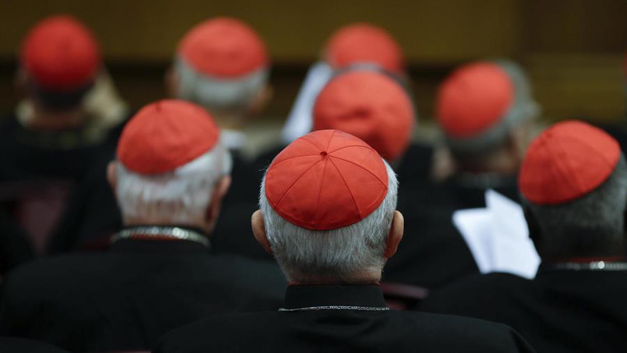 Imagen de archivo de cardenales durante un consistorio presidido por el papa Francisco. /EFE