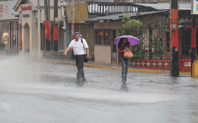 Foto Cortesía.