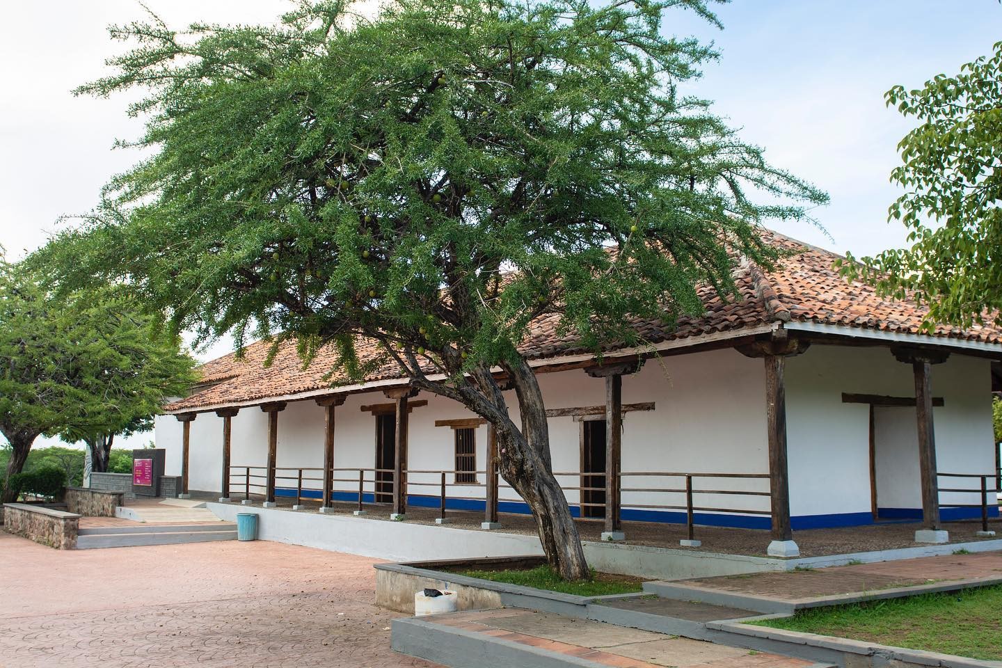 cortesía