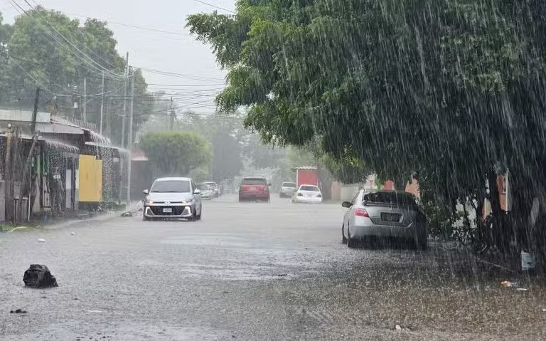 Foto: Cortesía