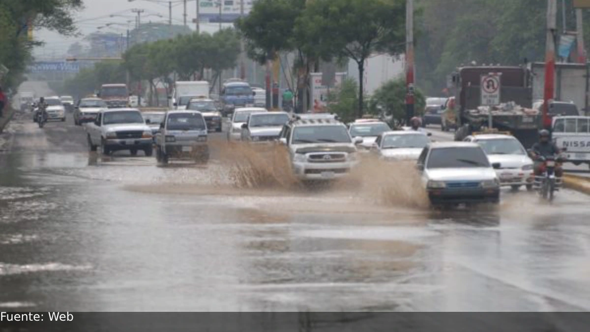 Fotos: Referencial