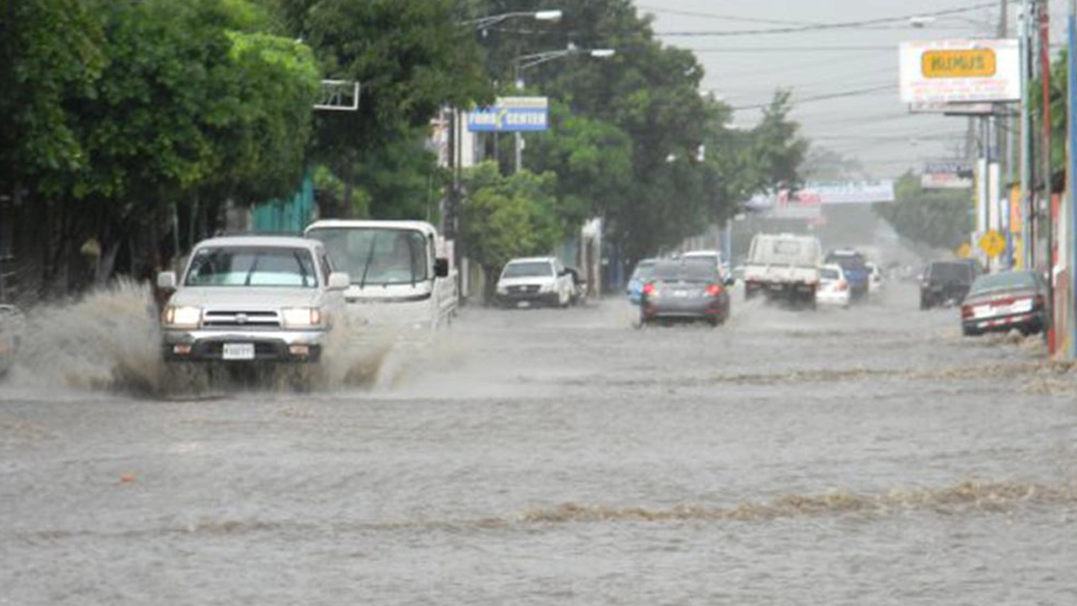 Foto: Cortesía